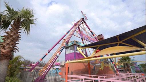 赏花海+机动游戏任玩+VR体验、5D电影等！还有财神爷派利是！