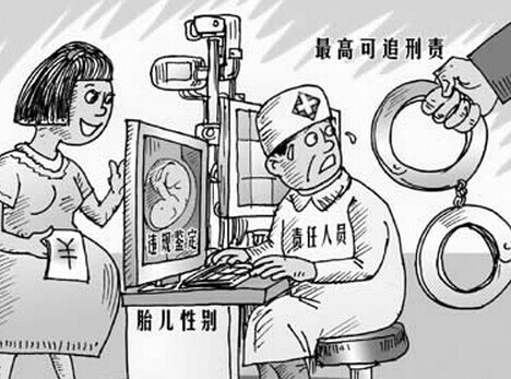 中国2020年光棍人数,2020年中国光棍数据