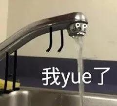 恶心！你竟和老鼠吃一碗饭？杨国福，这事道歉还没完