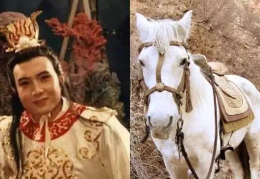 白龙马惨死马棚完整版,白龙马剧组解散后杨洁为何落泪