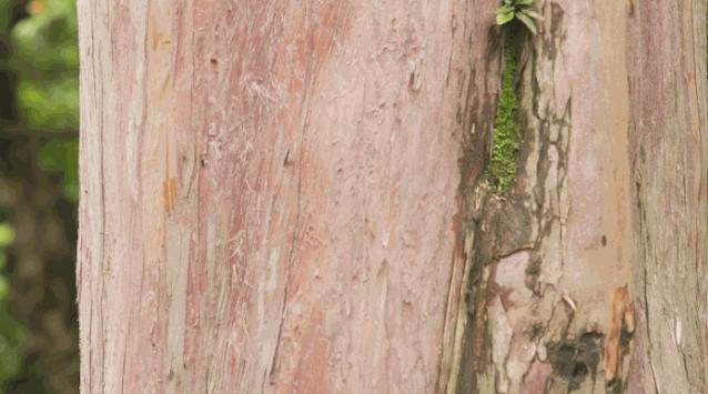 6亩8个卧室，上千万园林，200吨红木，1.6亿江南大户竟是这样的？