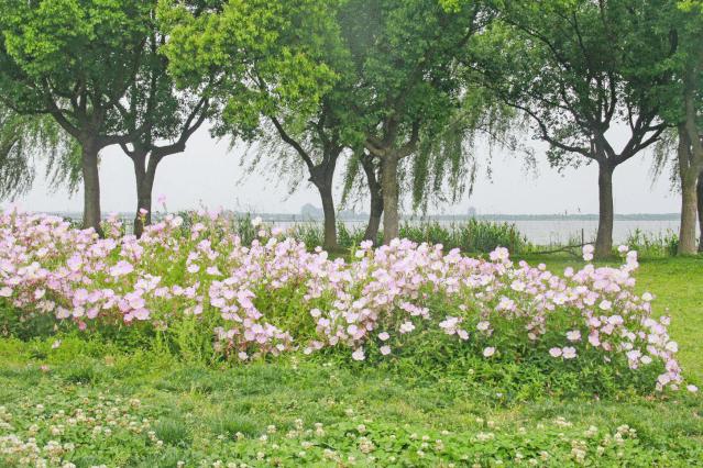 十一去哪玩?上海周边这15家度假酒店安排上