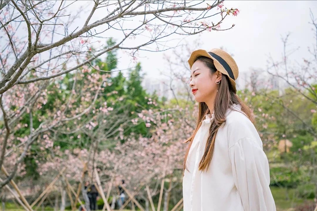 深圳周末浪漫好去处,深圳浪漫约会地点十个景点