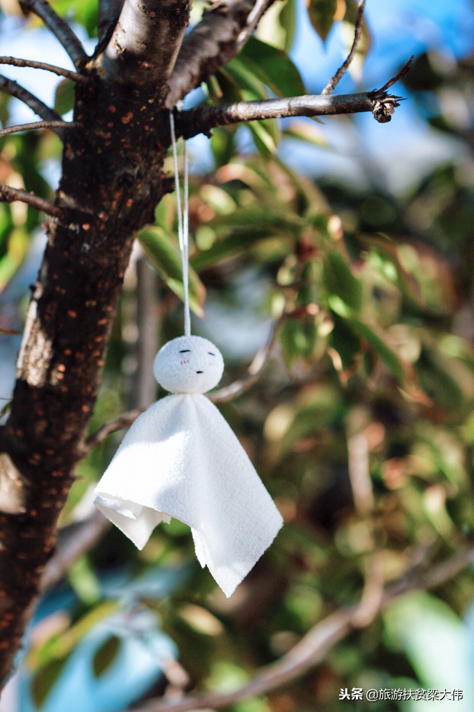 丽江游玩客栈,云南丽江游览