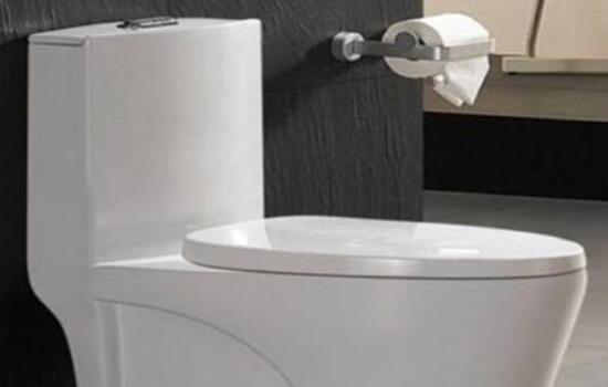 马桶哪个牌子好？十大品牌推荐选购必看指南