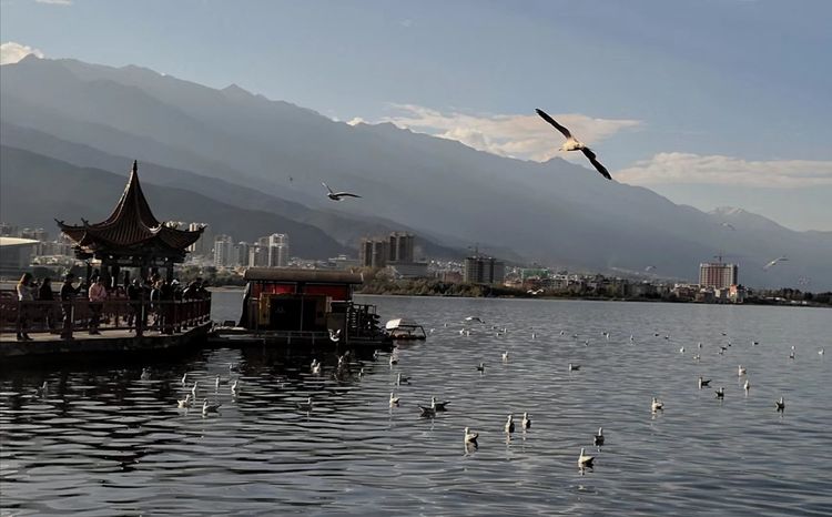 深秋的私语,美文美图经典欣赏