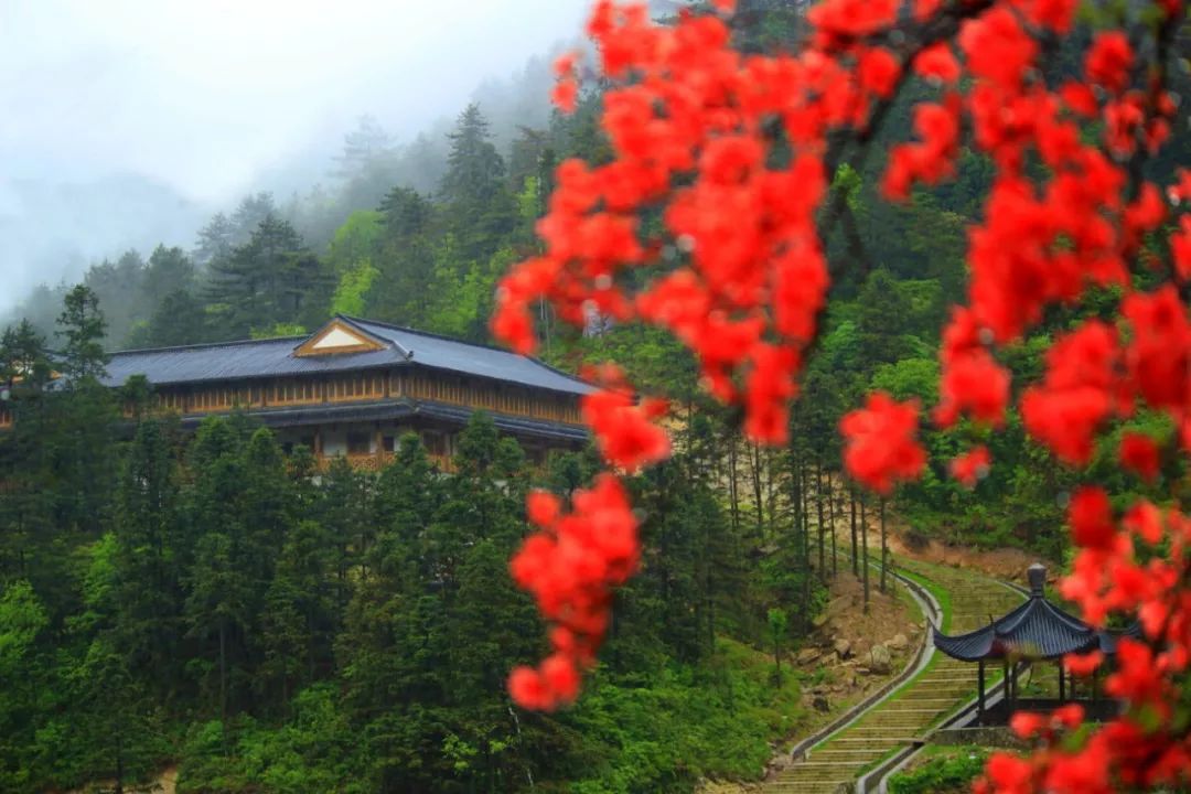 羊狮慕游玩时间,羊狮慕最新免门票