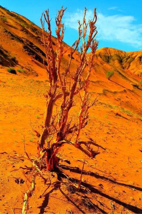 下一个假期去哪里？那些影视剧中宛如仙境的地方，不可以错过