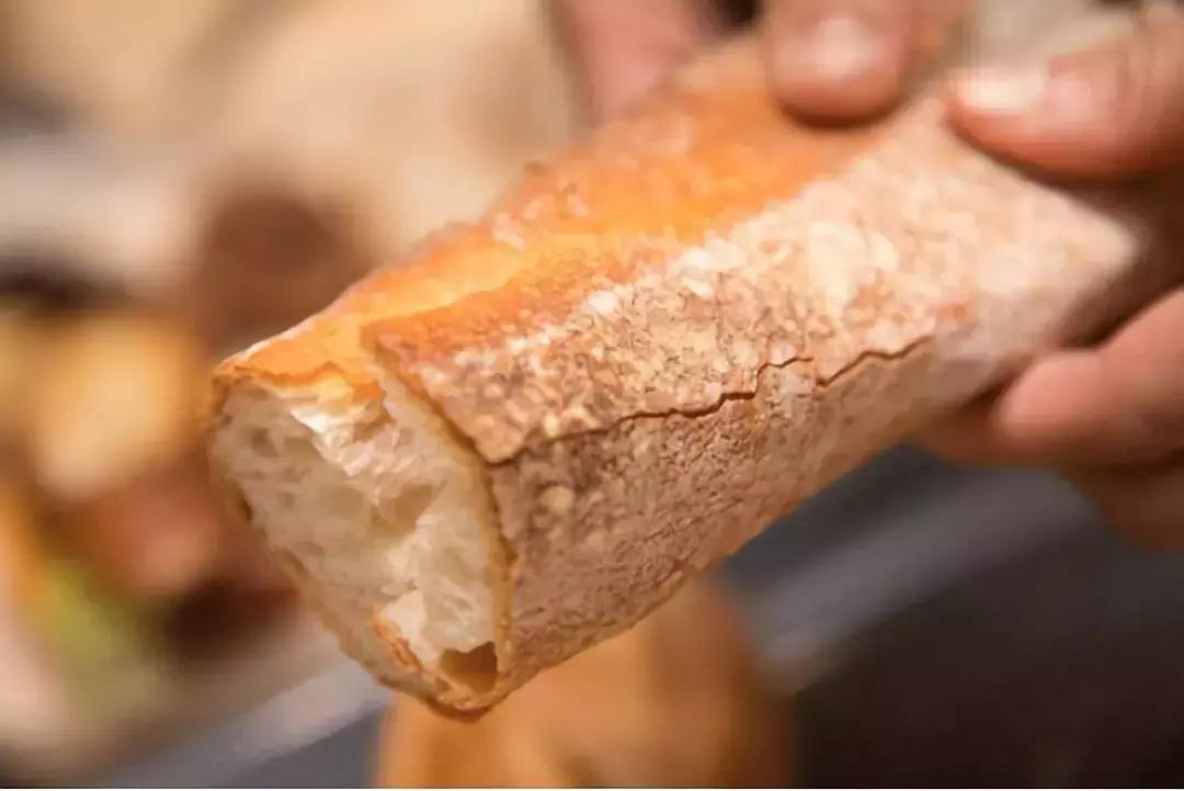 吃喝玩赏的好去处,打卡吃喝玩乐好去处