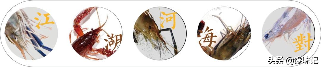 虾：湛江人的认亲标志