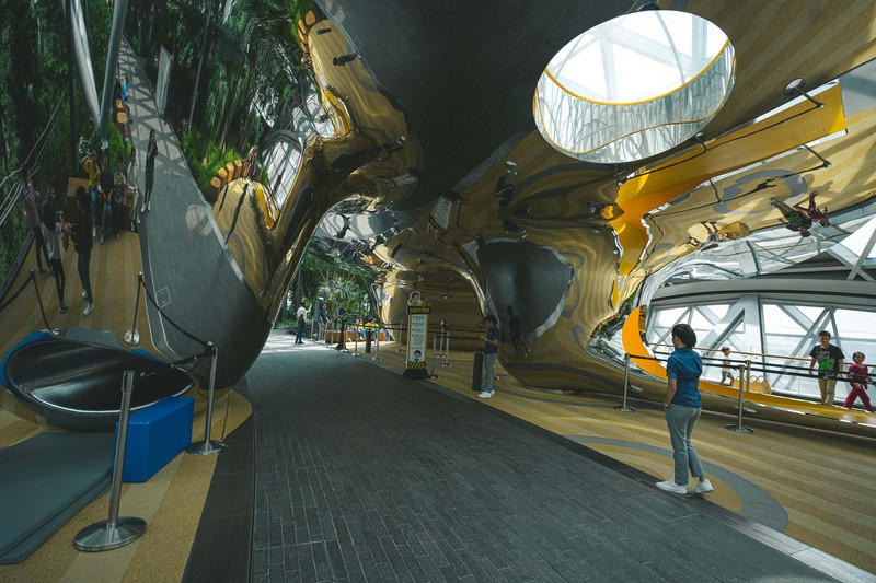 一人一猫环游,一人一猫旅行