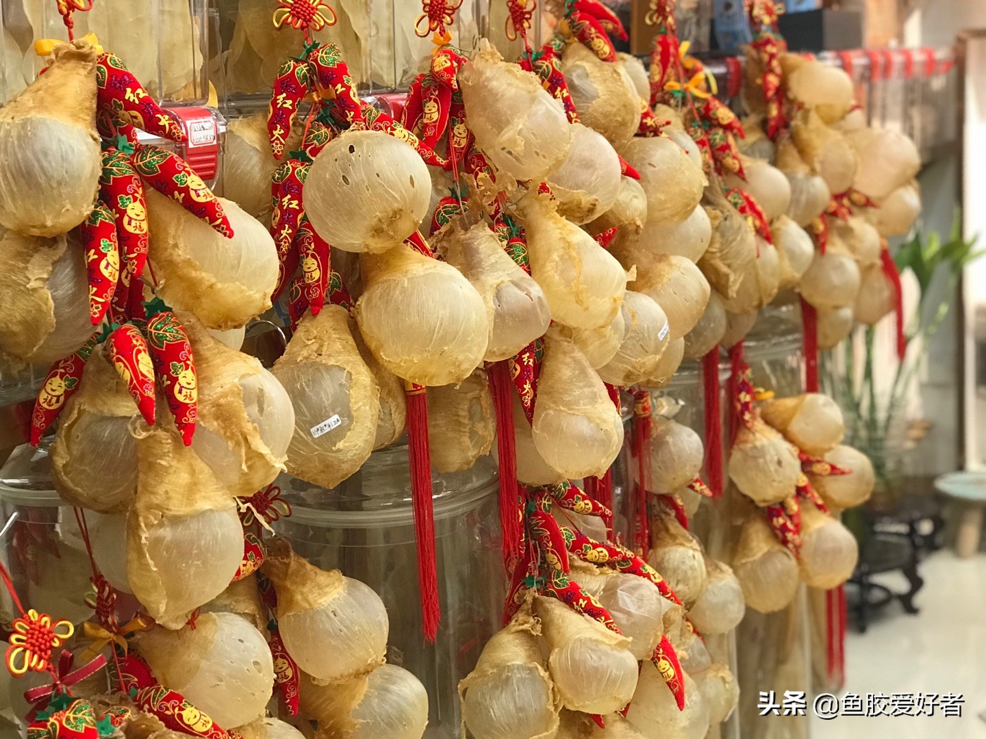 鱼胶正确的泡发方法和做法,鱼胶的做法和功效大全