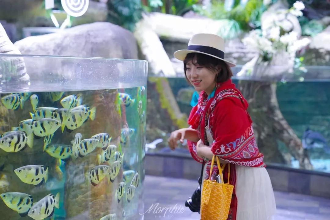 跟不同的人到同一个地方旅游,和不同的人一起旅游的感受