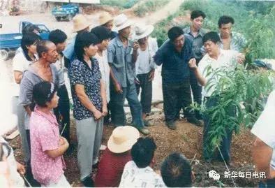 “世界最大桃园”蕴藏的乡村振兴“密码”