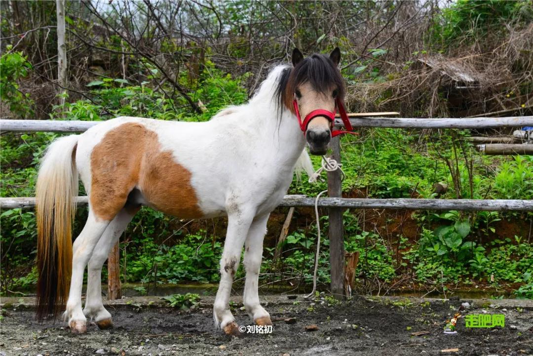 过年了爱车也要干干净净,过年了你的爱车洗干净了吗