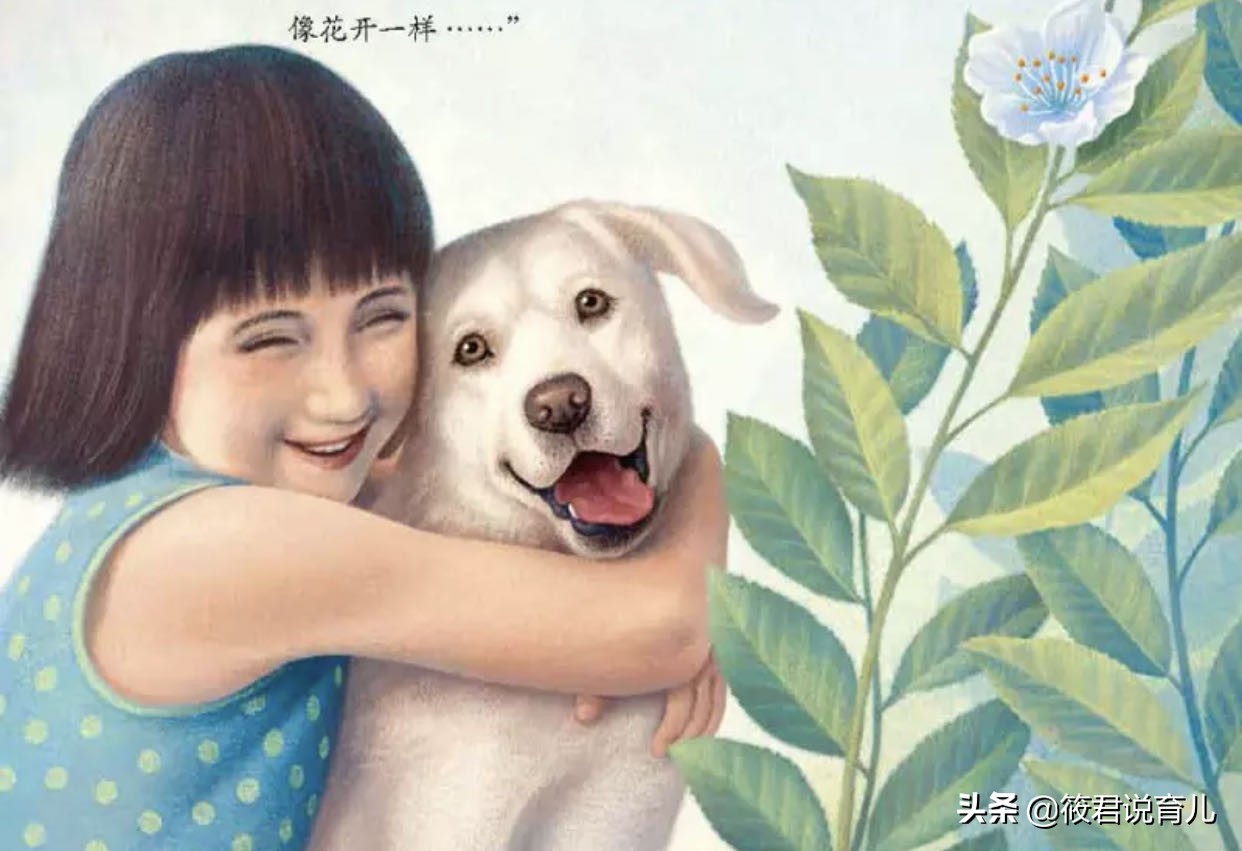 爸爸为什么长胡子绘本,绘本爸爸内容