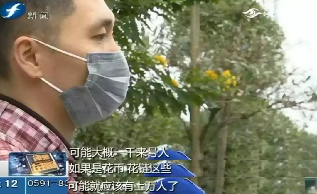 就是这些花……泉州有人为它花了几百万！