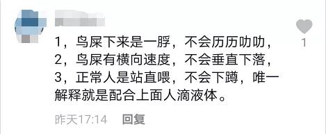 “屎到淋头”？嘴叼面包喂昆明海鸥大家最担心的事情发生了？