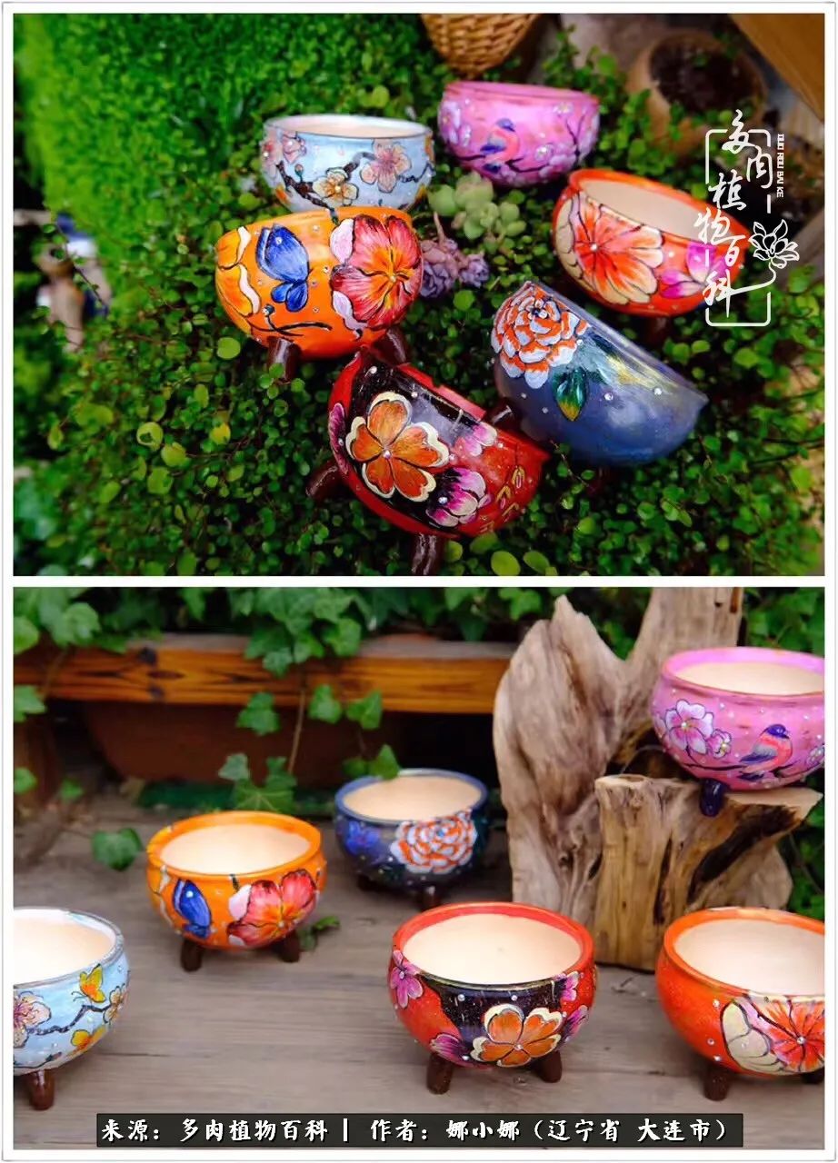 你是盆我是花，你护我周全，我为你绽放