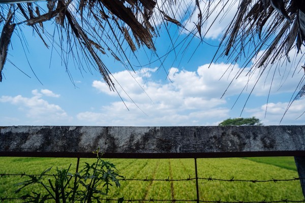 这座印尼的宝藏，是多少人的梦