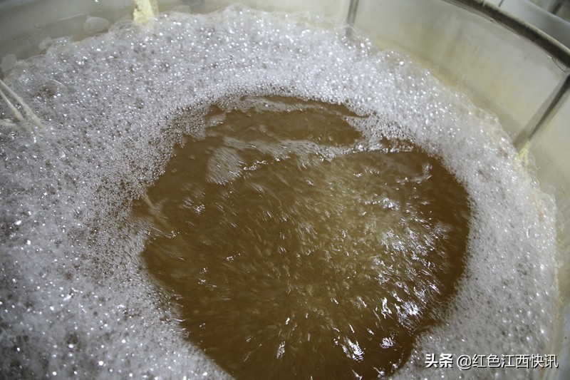 段元星的“泥鳅经”：育苗养殖一条龙脱贫路上“加速度”