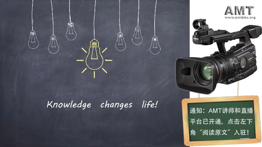 仿生鸟扑翼无人机,法国遥控仿生昆虫