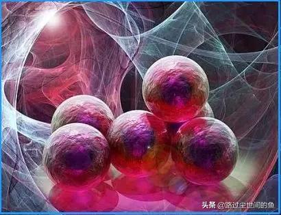 人体干细胞最新成果,最厉害的干细胞排行榜