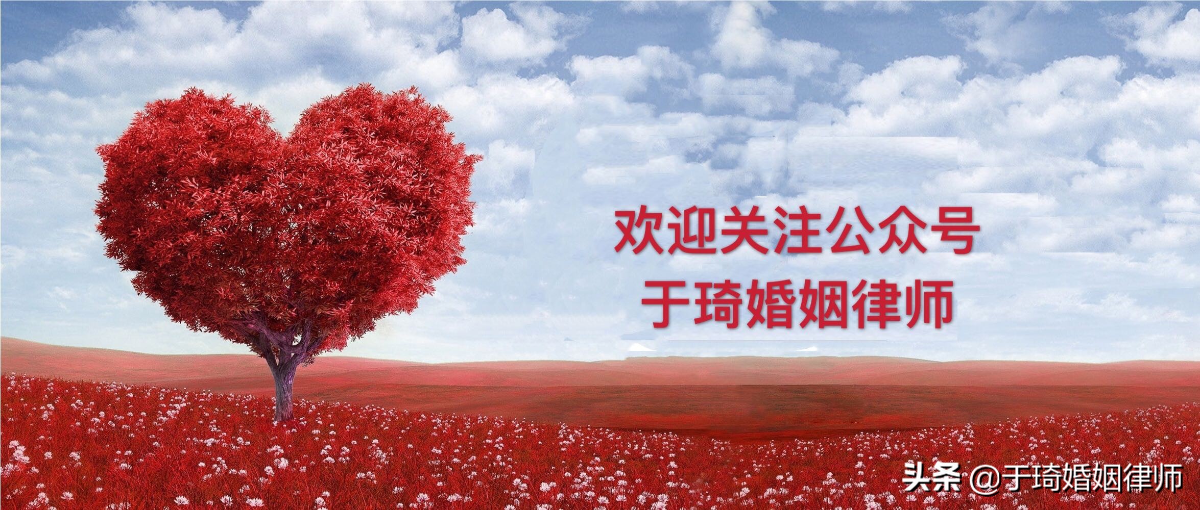 离婚律师一对一咨询专业分析,不想离婚可否请律师帮助调解