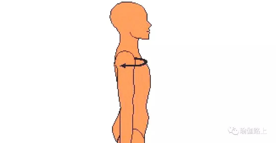 瑜伽怎么练髋外旋,练瑜伽体式手伸不直怎么办