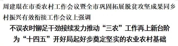 毕节市委农村工作会议暨全市巩固拓展脱贫攻坚成果同乡村振兴有效衔接工作会议召开