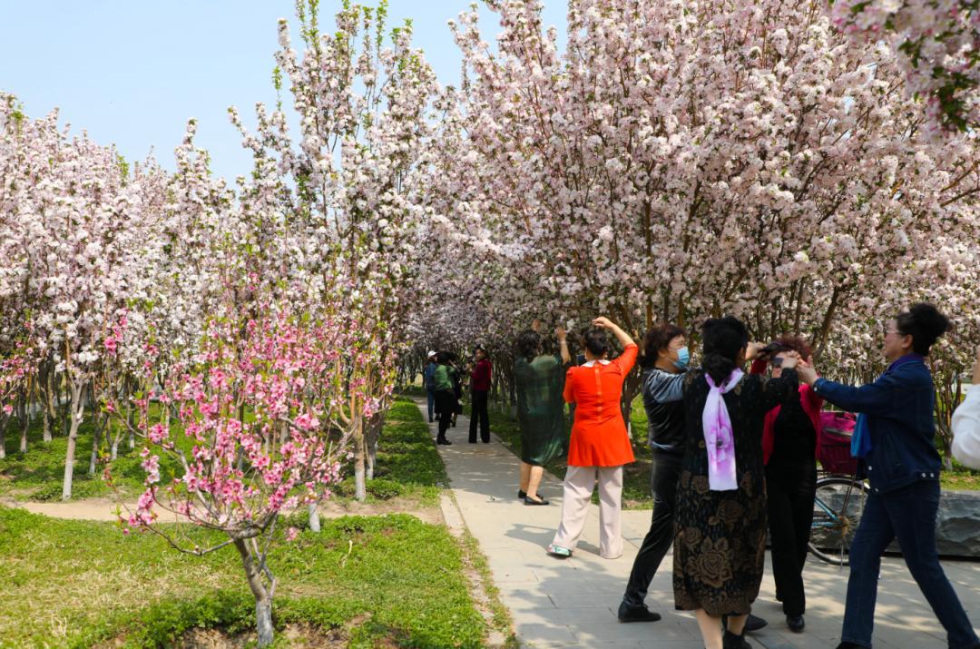 是什么让越来越多的年轻人爱上津南,留在津南!