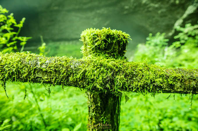 四川古蜀寻芳之幻梦朝天游玩攻略,都江堰古蜀寻芳