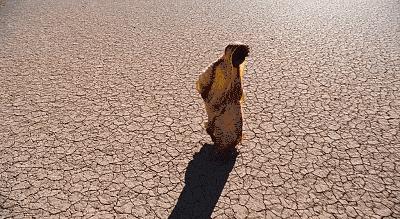 割*处私**保贞洁《沙漠之花》索马里超模反非洲女性割礼，太惨无人道