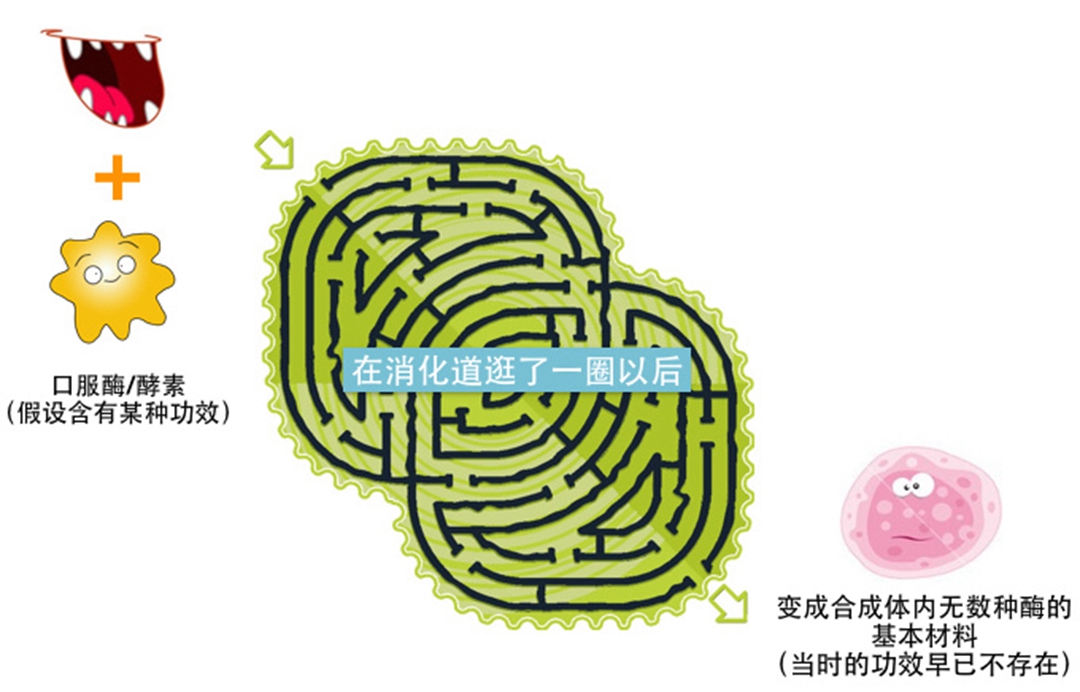 酵素真的能减肥吗瘦身专家告诉你,果蔬酵素减肥真的假的