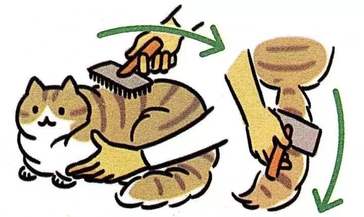 给猫主子梳毛,给猫猫梳毛用什么最好