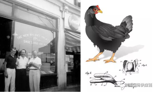 nb品牌历程完整版,nb品牌历史