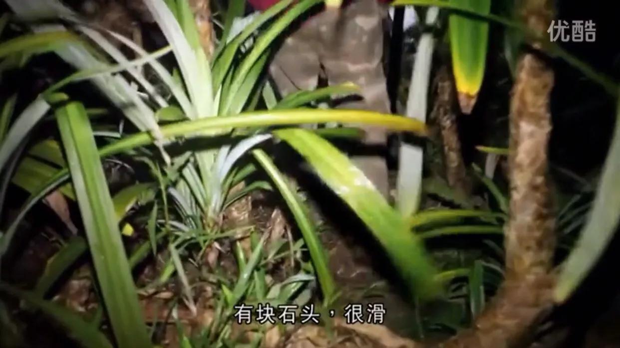 降头术的灵异事件,关于降头术恐怖的故事简短