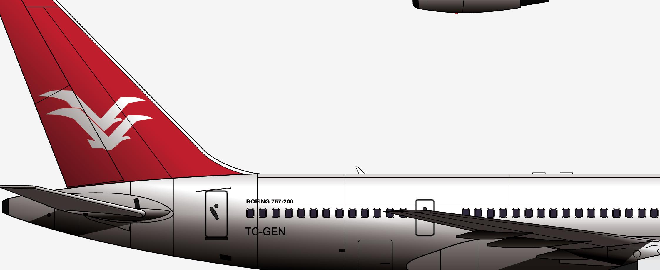 189人葬身圣多明各，泥蜂筑巢堵塞皮托管导致波音757的最惨重空难