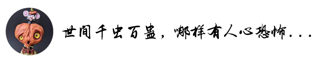 天花板滴血案完整版,天花板滴水事件