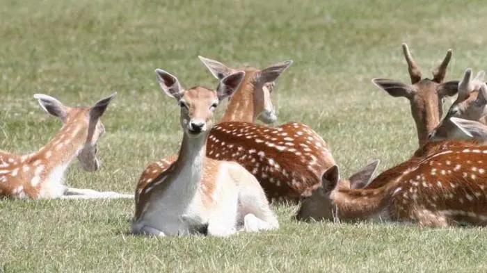 今年如何去英国读书 (来英国读书才知道的事)