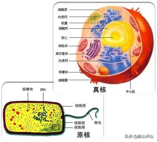股海图志深度解析,股海图志写真集