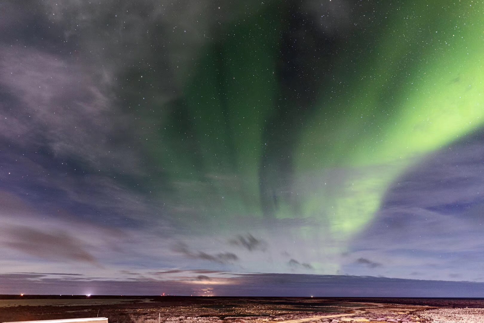 去北极旅游遇到北极熊的几率高吗,去趟北极