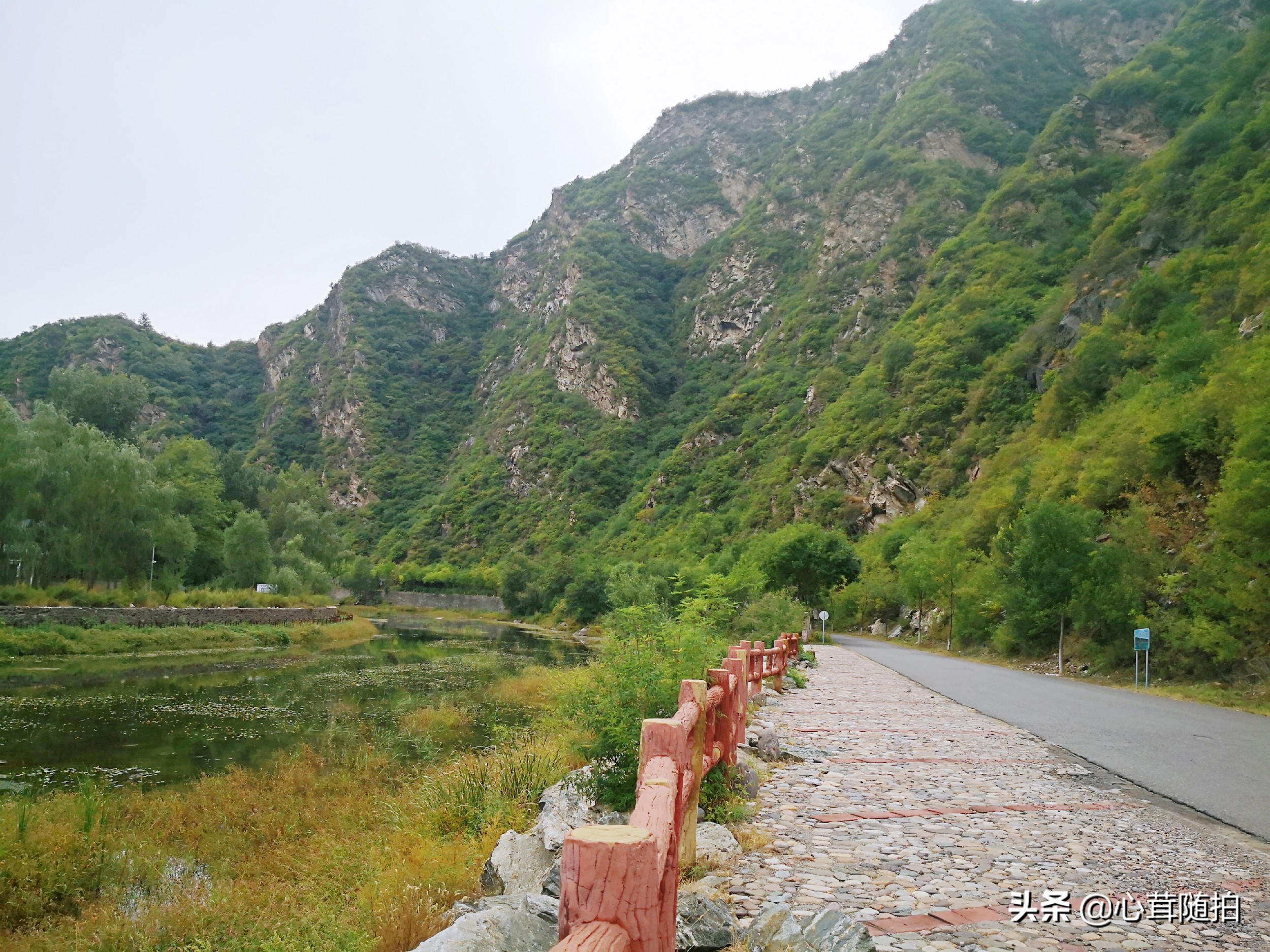 自驾白河湾,白河湾自然风景区自驾