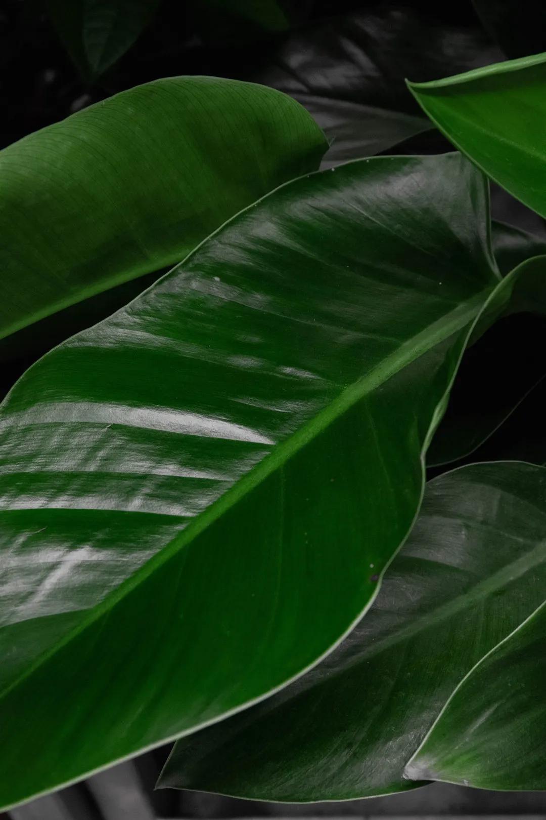 第一次去宜家的攻略深圳,体验家的感觉去宜家