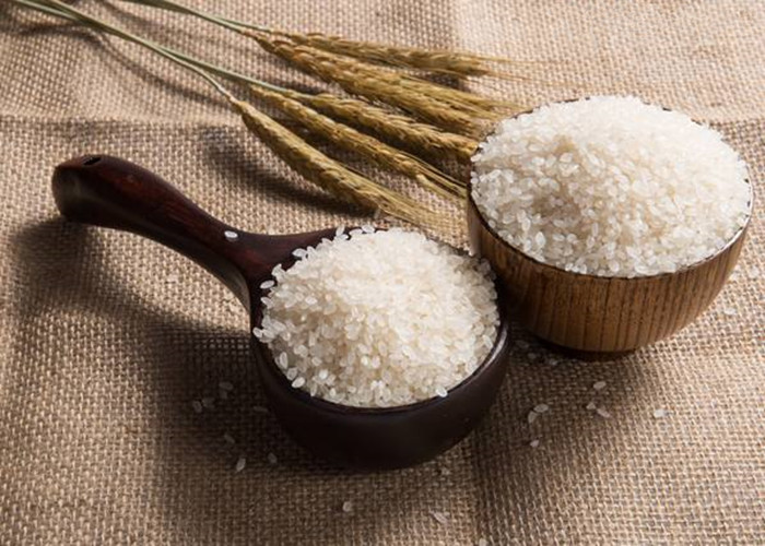 鲜米是湿米吗,鲜米营养