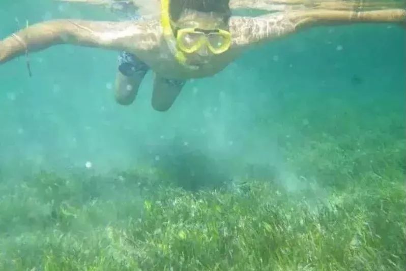 鲁滨逊漂流记荒岛生存指南,鲁滨逊漂流记惊险刺激及求生方法