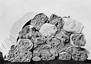 书法所蕴含的中国传统文化,书法五千年精髓