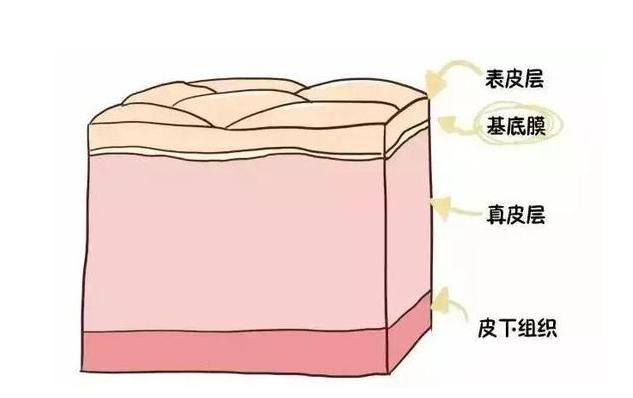 大干皮怎么更好用甘油护肤,甘油护肤补水在哪个步骤用