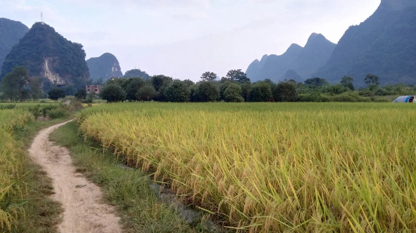 陌上的田园·王家湾村