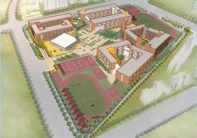 2019这些好消息,20条好消息振奋人心